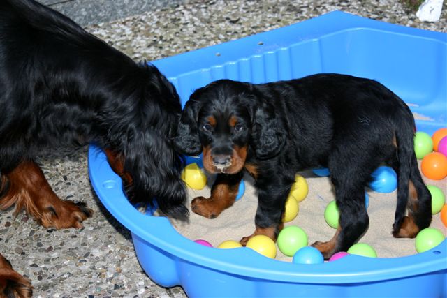 Jolie und Alec