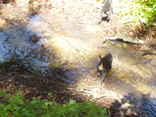 Die erste �berquerung von flie�endem Wasser.