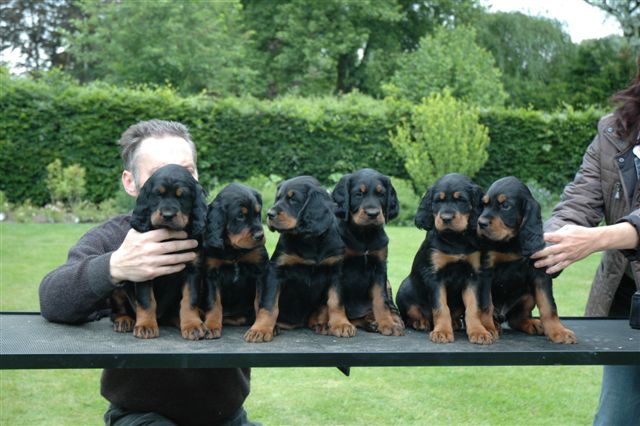 Nr.2,3,4,5,6,7 (von links nach rechts)