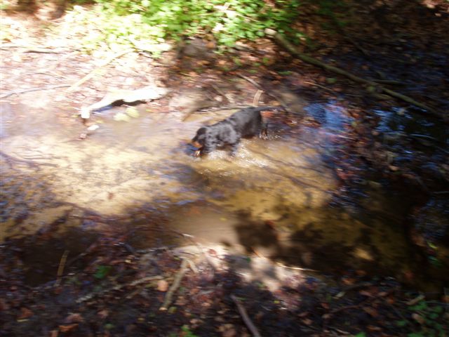 ganz sch�n na�, das Wasser...