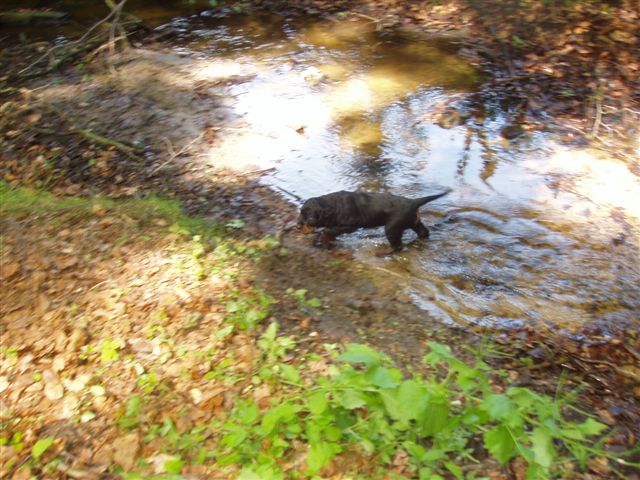 Geschafft ! Am anderen Ufer !