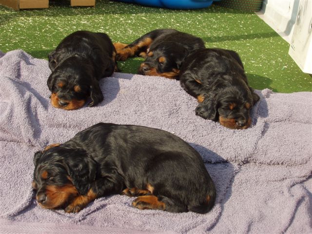 Ein Bad in der Sonne