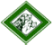 Verein f�r Pointer und Setter e.V. Hauptverein