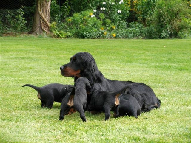 Endlich wieder mit Mama im Garten.
