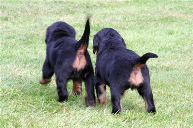 ....und Tsch�ss !!
