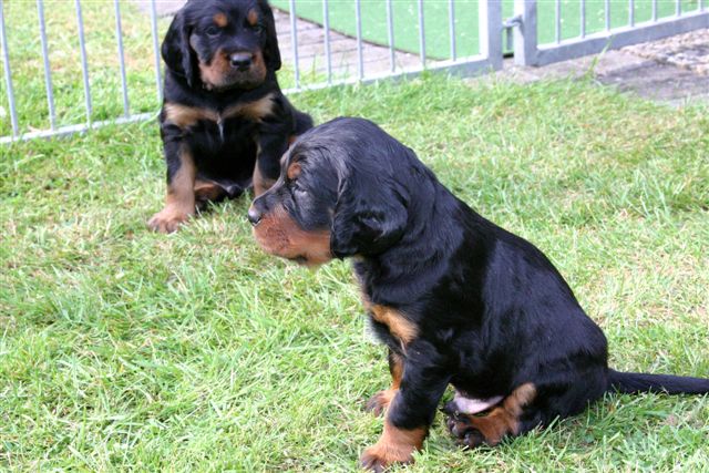 links Nr. 7, rechts Nr. 3